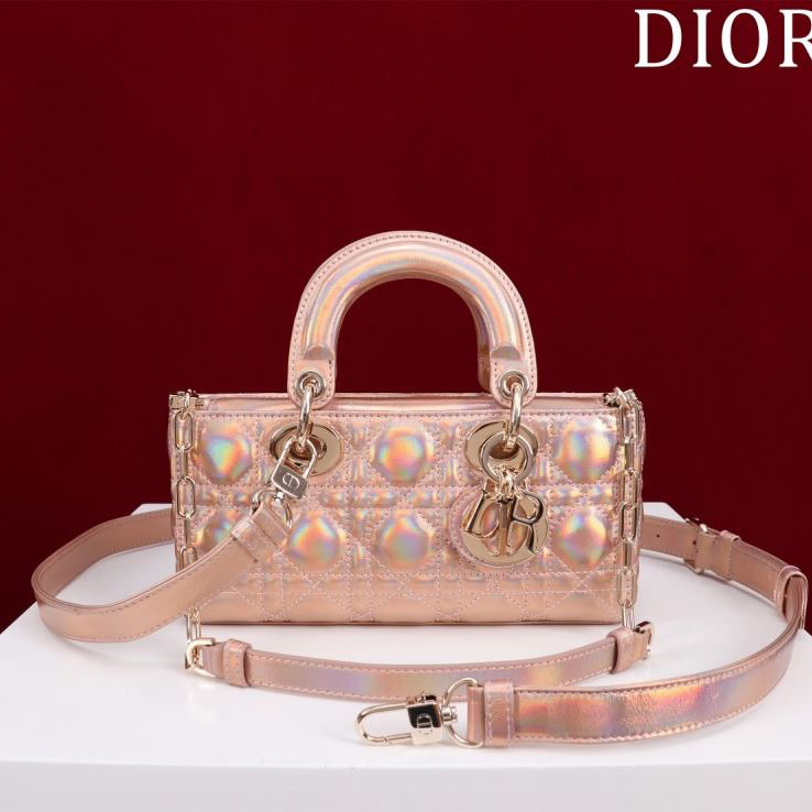 chr1st1an D10r my lady bags
